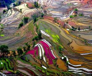 Puzzle Το προαύλιο των Yunnan, Κίνα